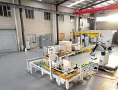 玉米面條十字封箱碼垛線